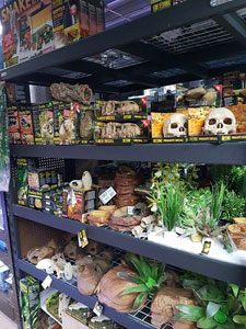 Reptile cage accessories